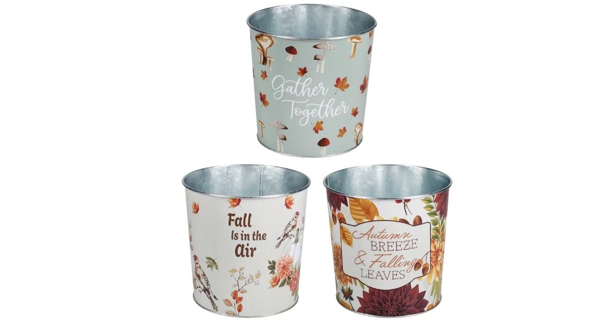_Harvest Themed Round Tin Pails, 6-in.
