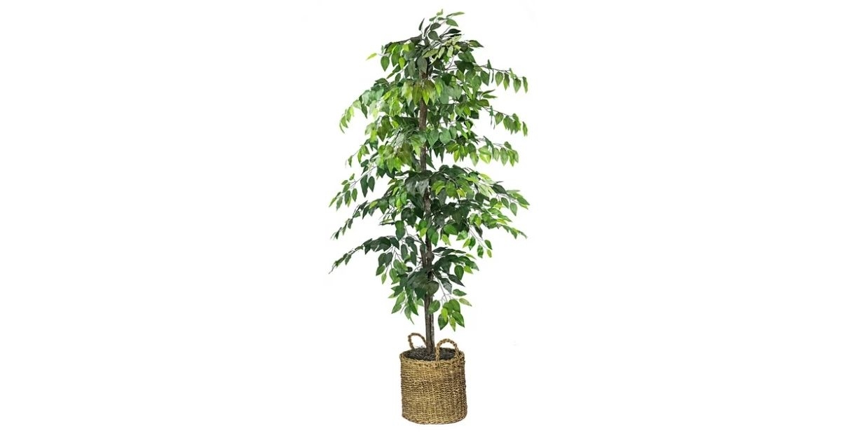Faux 72 Ficus Tree in Roped-Style Handwoven Basket