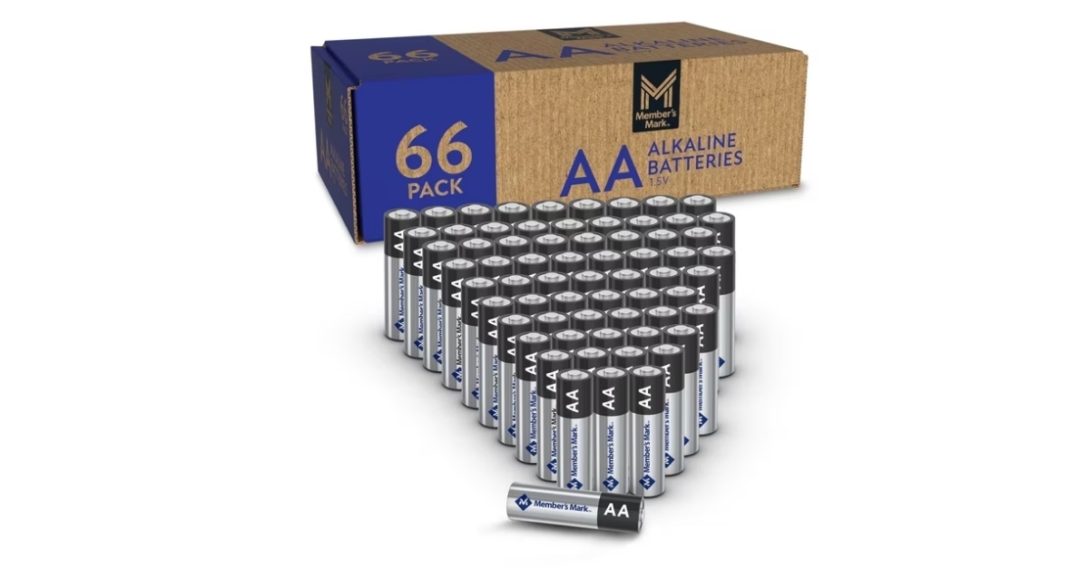 aa alkaline batteries 