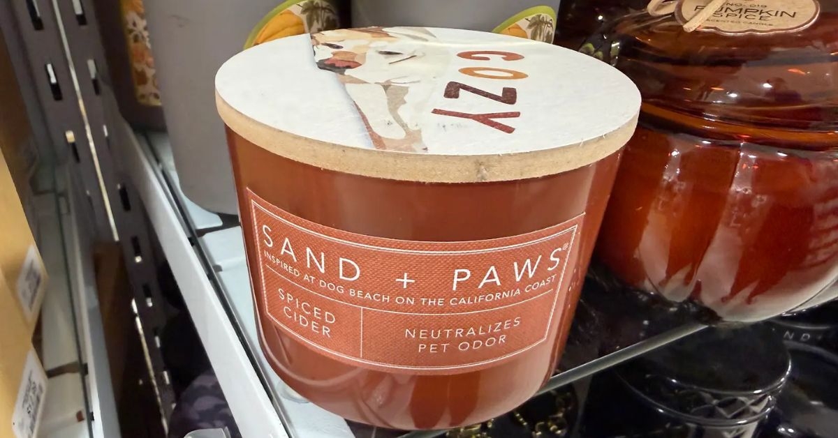 spiced cider candle