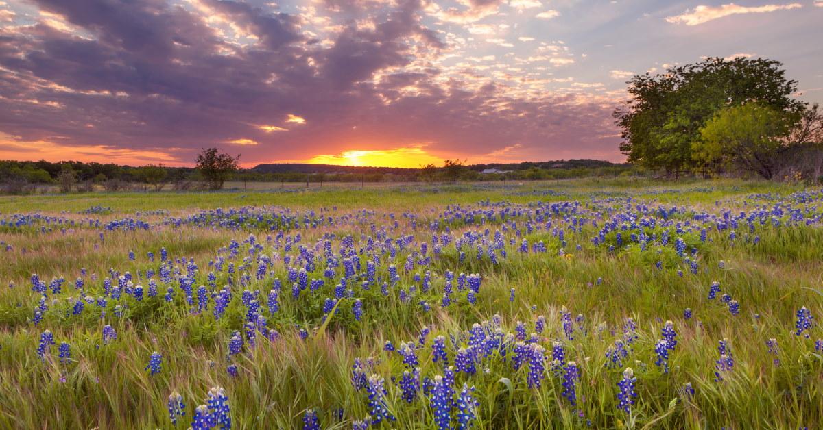 These 15 Cities Are About to Get a Costco! FinanceBuzz