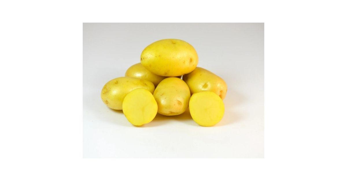 Set of yukon potatoes