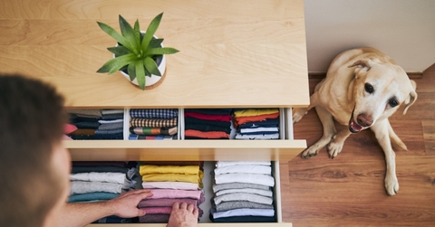 man organizing home with dog