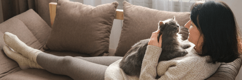 Cat with owner on couch