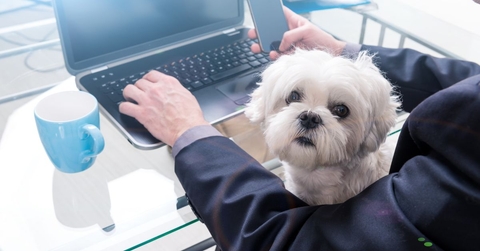 Most Unusual (and Coveted!) Job Benefits