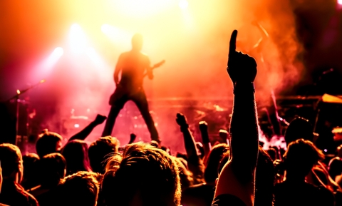 Audience enjoying live concert