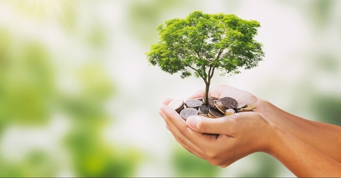 tree growing on pile of money in hand