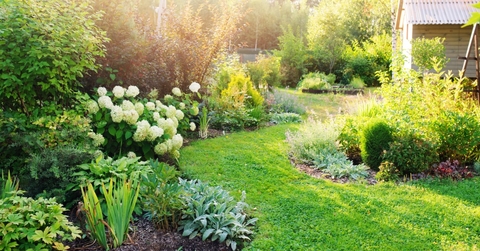 private garden with green plants everywhere along with english style cottage in corner