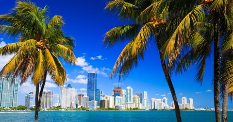miami skyline seen from the beach with palm trees in daylight.
