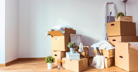 cardboard boxes