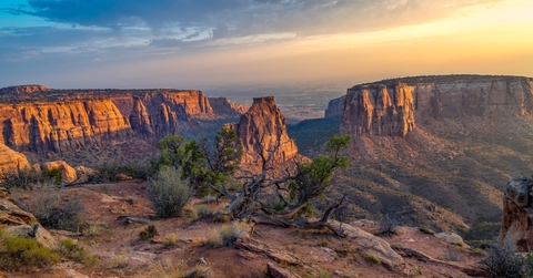 grand junction colorado