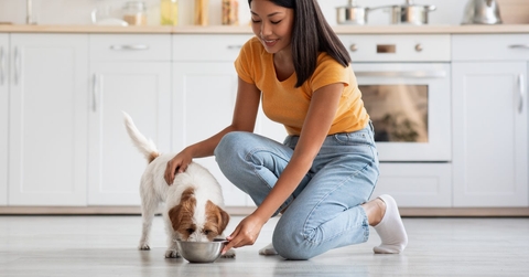 woman feeding puppy while petting