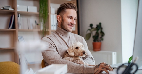 dog sitting at the desk indoors