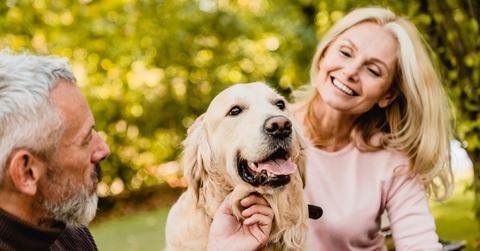 senior couple petting their dog