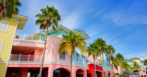 palm trees in florida fort myers