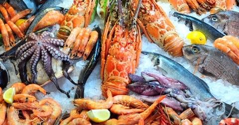 fresh seafood at display at restaurant