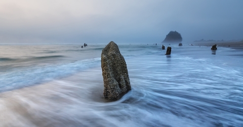 neskowin ghost forest oregon coast