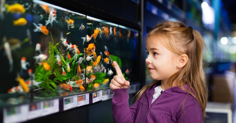 girl looking at colorful fish