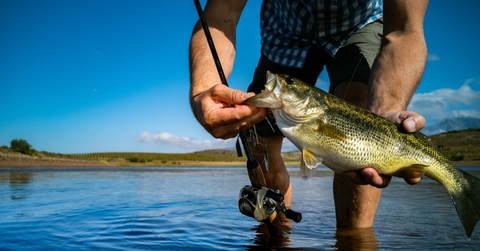 bass fishing on beautiful lake 