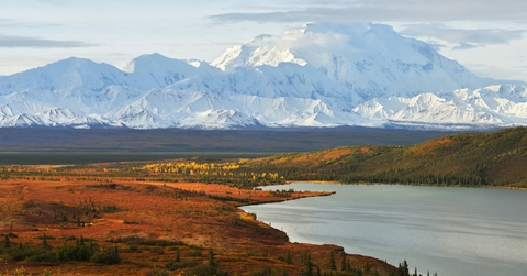 denali mountain and wonder lake