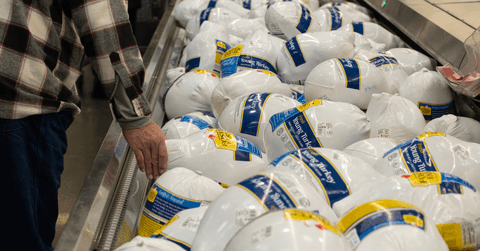 shopper is choosing a turkey in grocery store