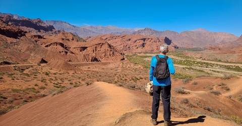 man with his back observing a desert valley