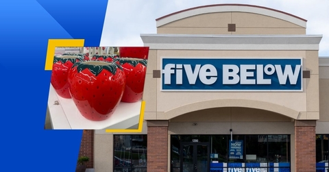 new five below items hitting shelves in month