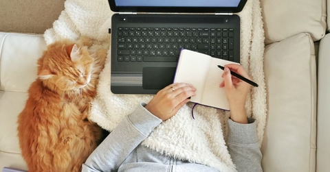 woman working on couch with her cat