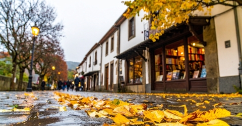 Fall wet street with cozy lights and bookstore on the corner