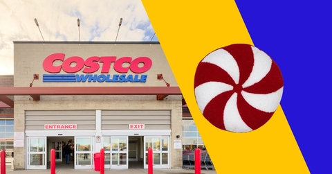 The Smartest $50 You’ll Spend at Costco This Fall Featured Image