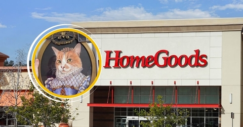 HomeGoods store with cat wall decor