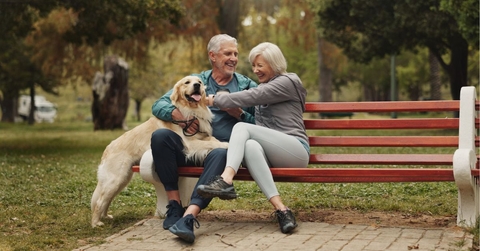 elderly couple on park bench with dog