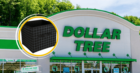 A Dollar Tree storefront