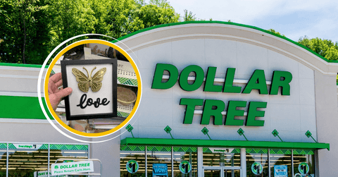Dollar Tree storefront and product collage