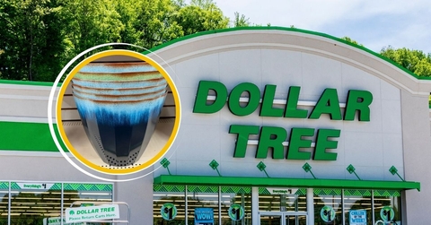 12 Random Dollar Tree Finds Over $1.25 That Are Worth It (And What to Skip) Featured Image