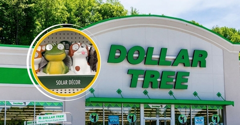 14 New February Dollar Tree Home Items Worth Combing the Aisles For 