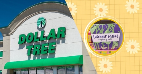 16 New March Arrivals at Dollar Tree That Are Likely To Sell Out