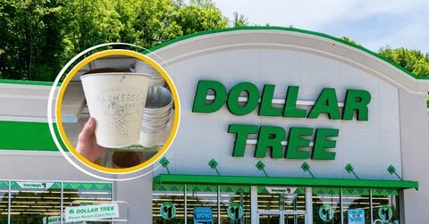 Collage of Dollar Tree and a white garden planter product