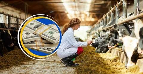 Female veterinarian with stack of money collage