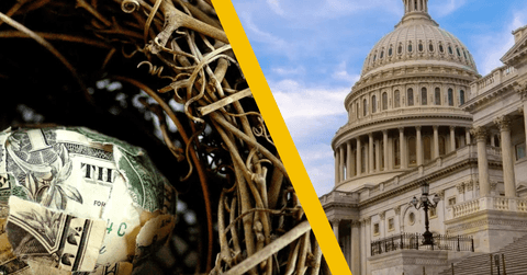 nest egg and capitol building