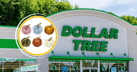Collage of Dollar Tree and Pumpkin velvet decor product