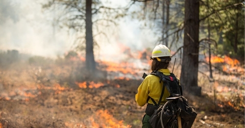 Wildfire