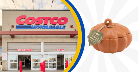 Costco storefront next to velvet pumpkin