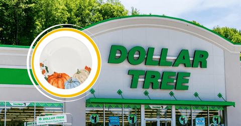 Dollar Tree Store with fall plate 