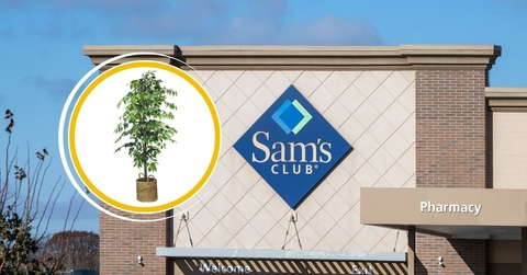 X Sam's Club Items That Look Like West Elm (For Less)