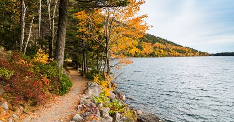 hiking trail in acadia national. park