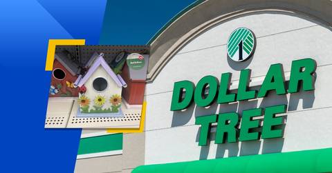 14 dollar tree finds thatll kickstart your garden