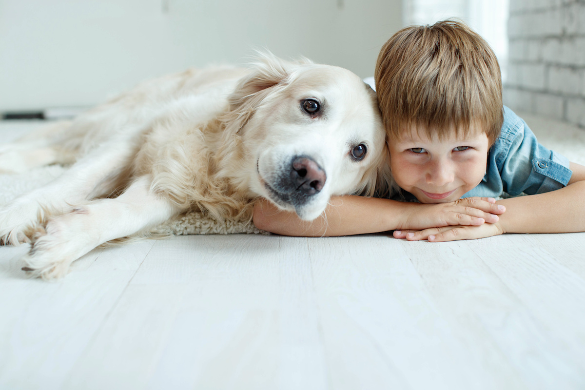 8 Pet Insurance Myths You Can�t Afford to Believe