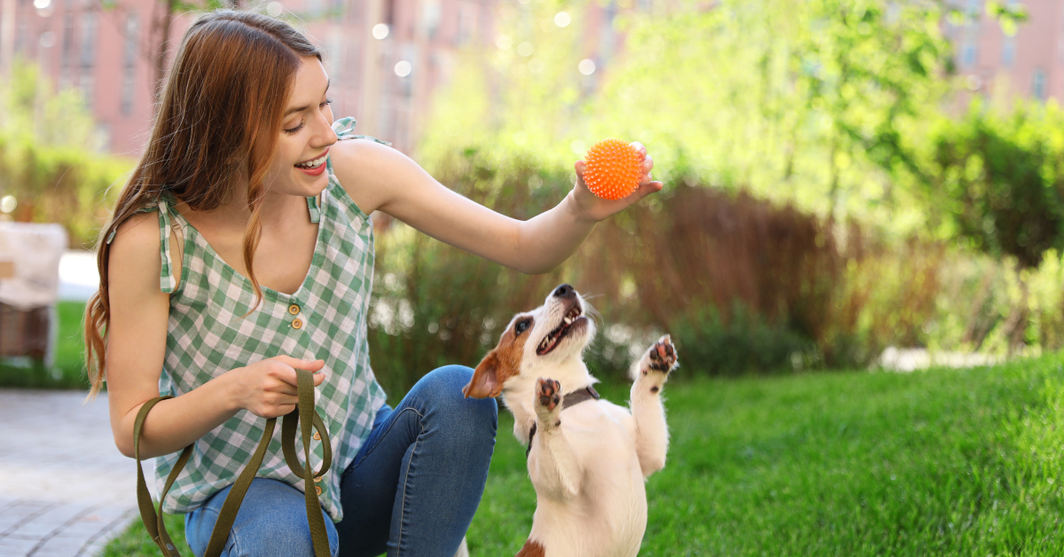 8 Cheapest Pets You can Own That are Still Lovable FinanceBuzz