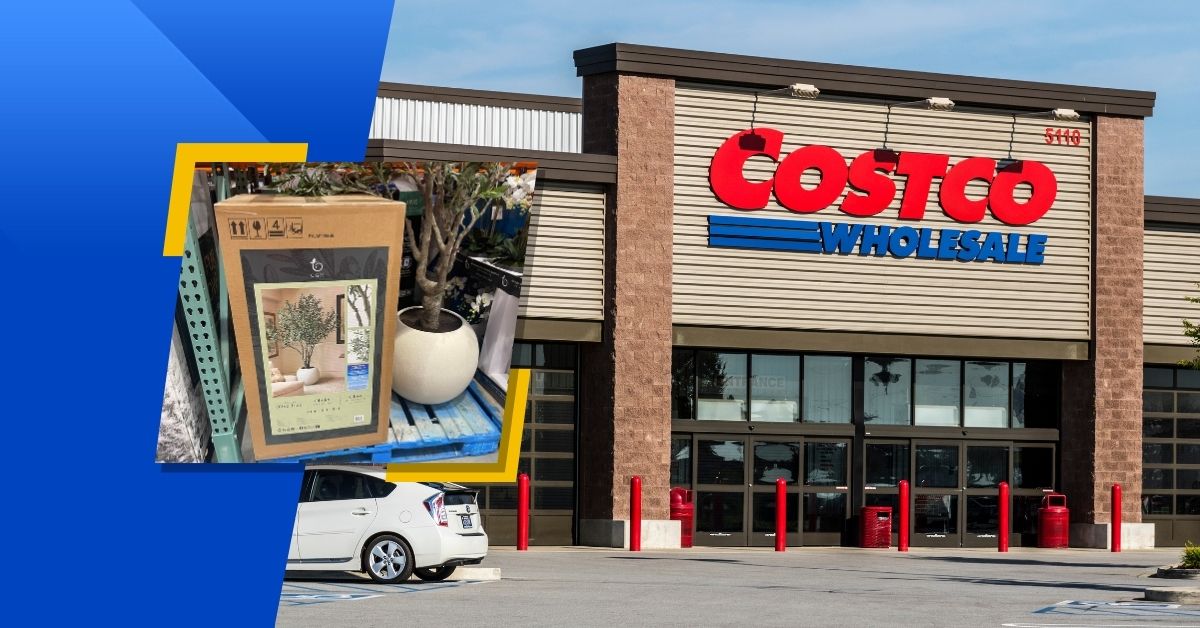 13 Costco Finds to Instantly Make Your Living Room Look High-End 13 Costco Finds to Instantly Make Your Living Room Look High-End